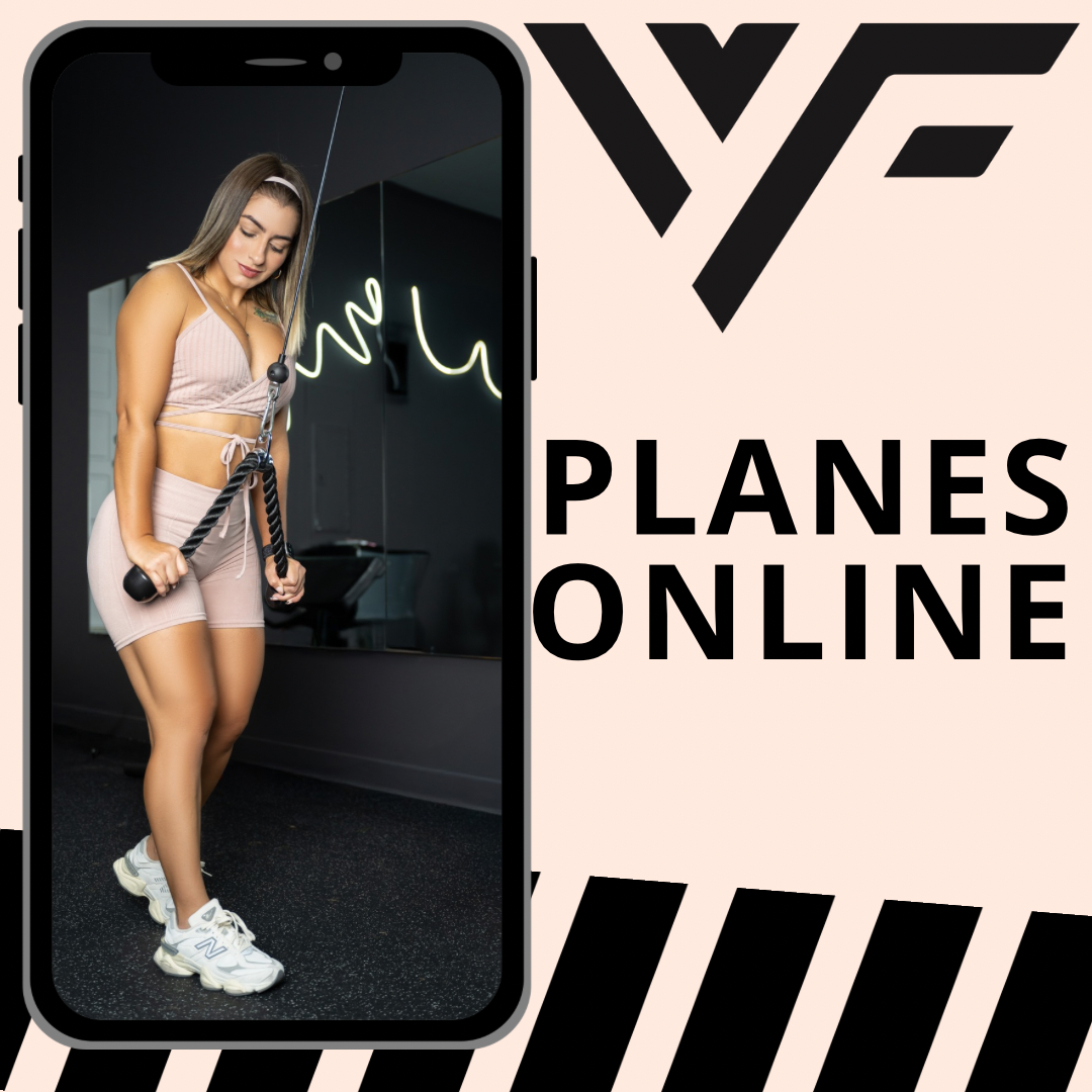 PLANES ONLINE.